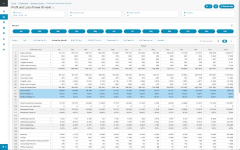 Rapporttabell med ekonomiska data i Cumulus BI