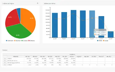 Dashboard i Cumulus BI med cirkel- och stapeldiagram